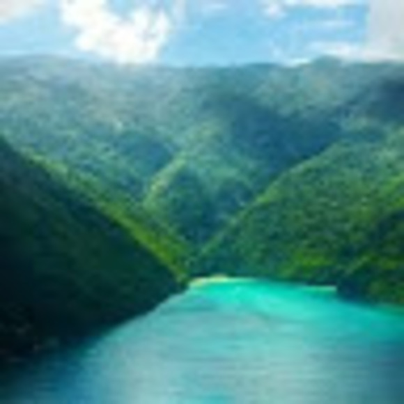 Meet your Posher, Veevee - Picture 1 of 1